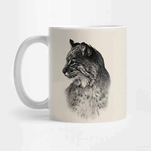 Bobcat by Guardi